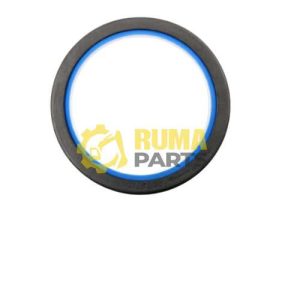 RETEN  DEL CIGUEÑAL
